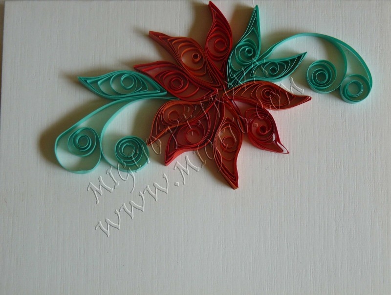 Червено цвете 2